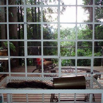 B&B Vitoria Regia Рио де Жанейро Екстериор снимка